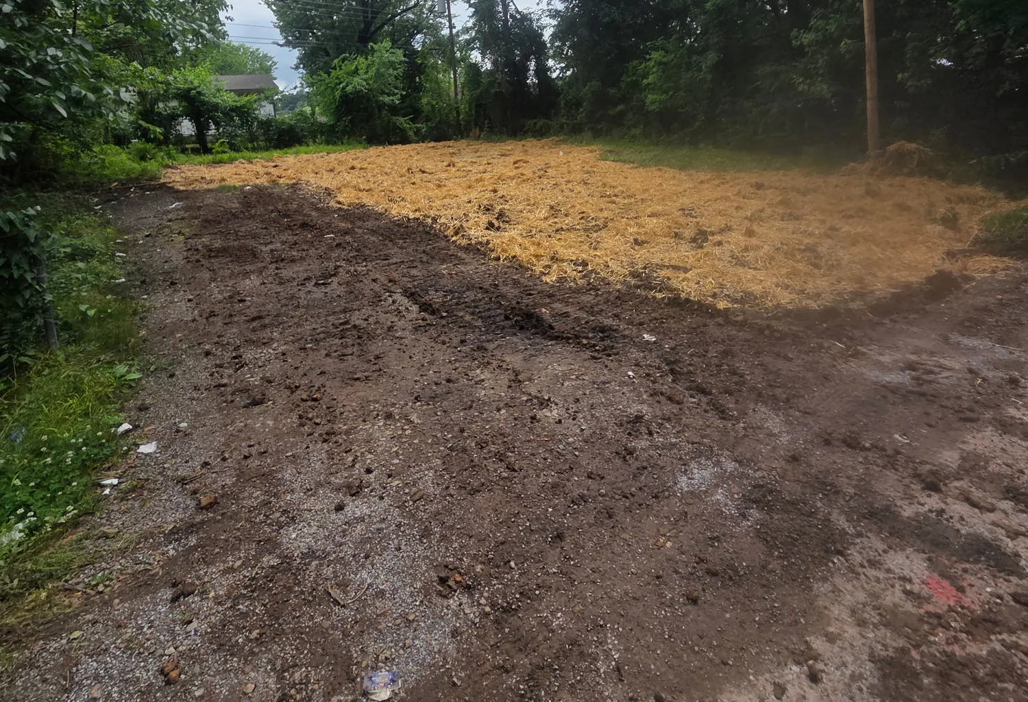 Recently cleared ground with straw cover and a muddy access area under an overcast sky